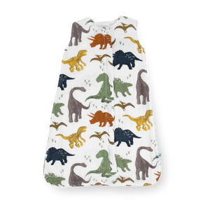 Baby sleeping bag with dinosaur pattern on a white background