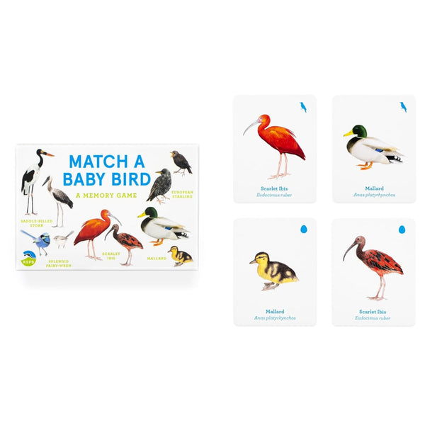 Match a Baby Bird educational game with bird illustrations on a white background
