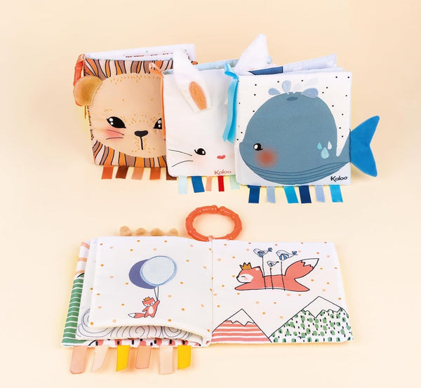 Kaloo The Curious Lion Activity Book
