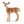 Schleich Animals | Wild Animals