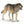 Schleich Animals | Wild Animals