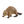 Schleich Animals | Wild Animals