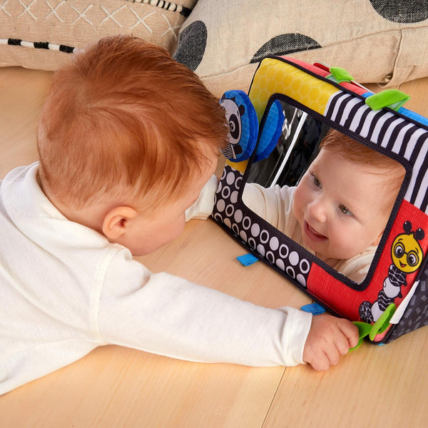 Baby Einstein Flip For Art High Contrast Cards and Mirror