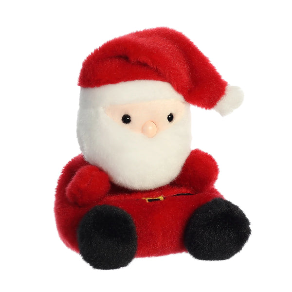 Aurora Palm Pals | Santa
