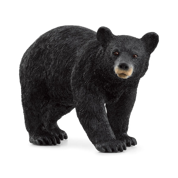 Schleich Wild Life Figurines | American Black Bear