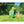 Bigmouth Big Sprinkler Dinosaur  Cannot be Mailed