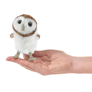 Barn Owl