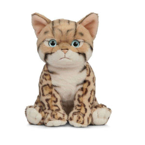 Plush toy cat with tabby pattern on a white background