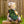 Bapron Baby Bibs | 3 - 5 Years