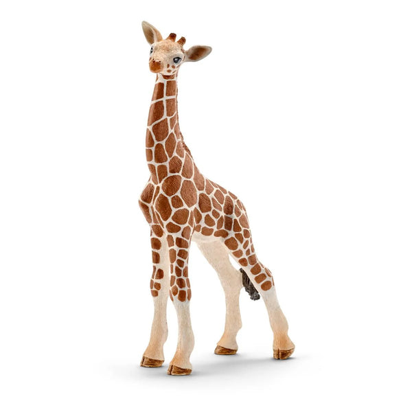 Schleich Wild Life Figurines | Giraffe Calf 5"