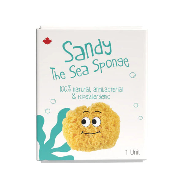 Loot Toy Sandy the Sea Sponge