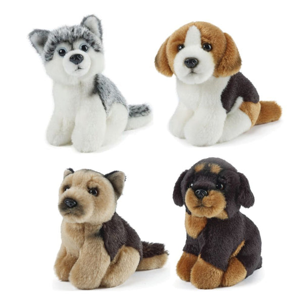 Living Nature | Minature Dogs