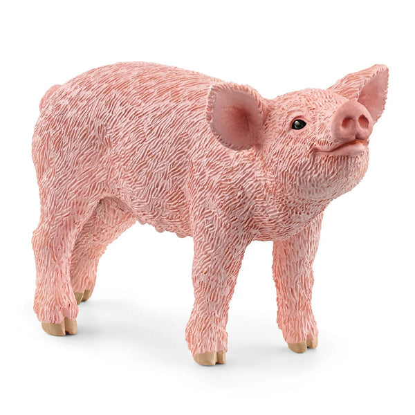 Schleich Farm World Figurines | Piglet
