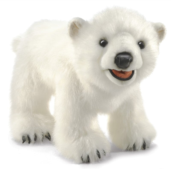 Polar Bear Cub