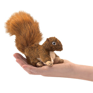 Red Squirrel