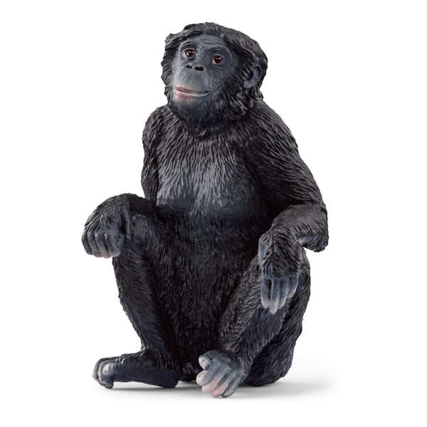 Schleich | Wild Life Figurines | Bonobo Female