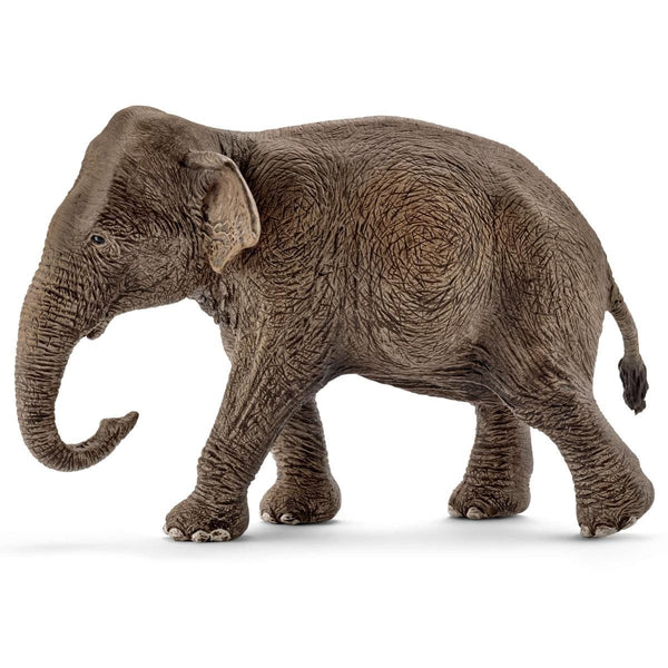 Schleich | Wold Life Figurines | Asian Elephant Female