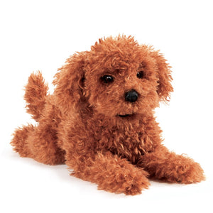 Toy Poodle