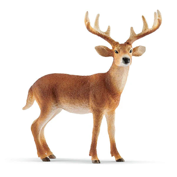 Schleich Wild Life Figurines | White-Tailed Buck