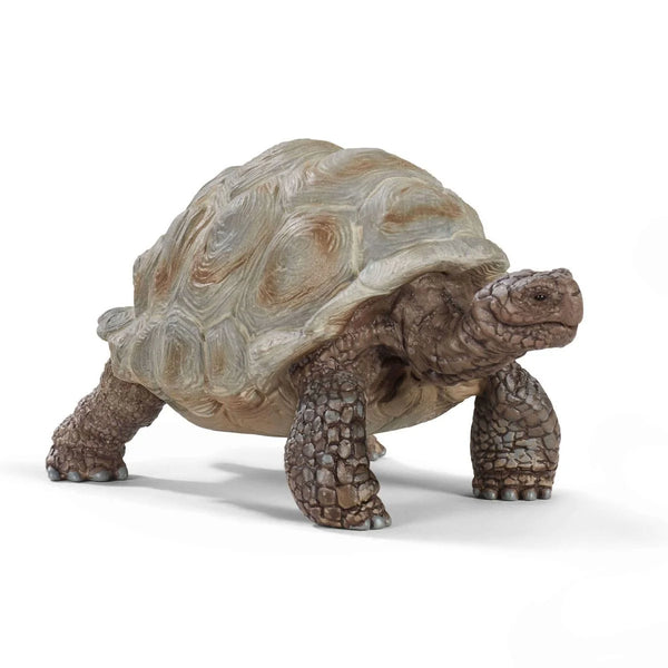 Schleich Wild Life Figurines | Giant Tortoise