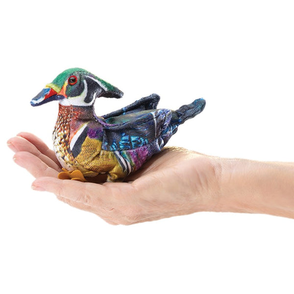  Wood Duck