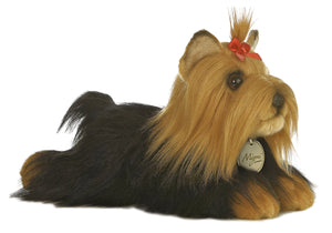 Yorkshire Terrier 11"