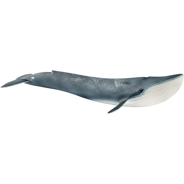 Schleich Wild Life Figurines | Blue Whale