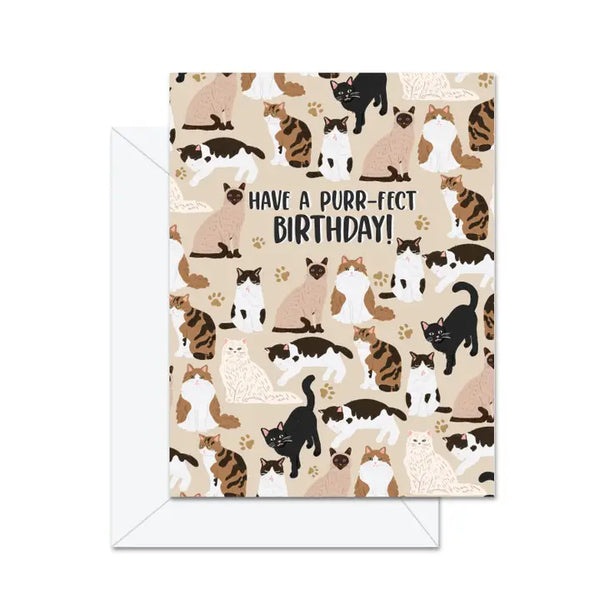 Jaybee Design Card | Have A Purr-Fect Birthday!
