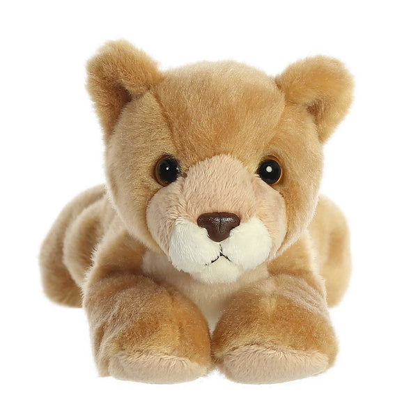 Plush toy bear with a white background