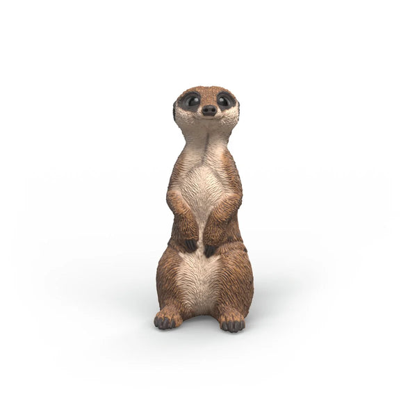 Schleich Wild Life Figurine | Meerkat