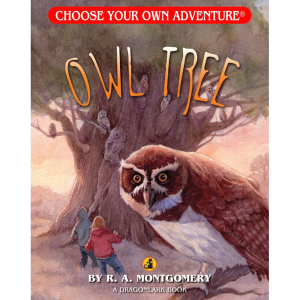 Dragonlark Choose Your Own Adventure Book | Owl Tree