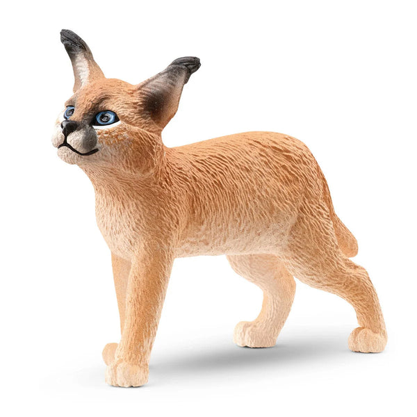 Schleich | Wild Life Figurines | Caracal Cub