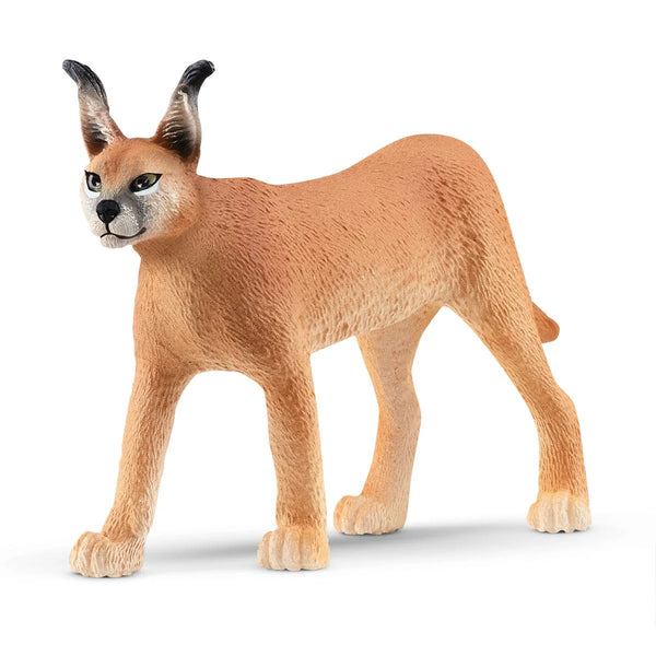 Schleich | Wild Life Figurines | Caracal Female