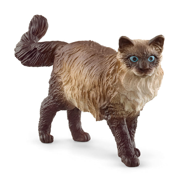 Schleich Animal Figure | Ragdoll Cat