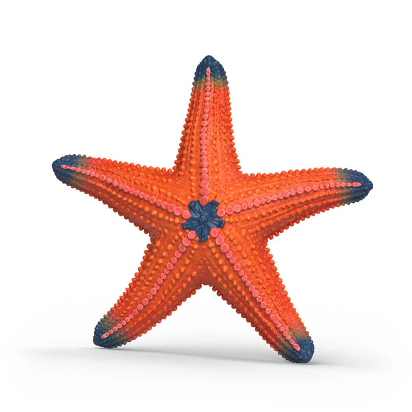 Schleich Wild Life Figurine | Colour-change Starfish