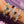 Taylor Swift Friendship Bracelet Kit