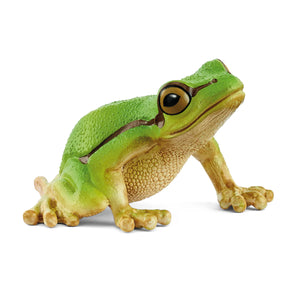 Green frog on a white background