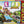 The Game of Life Junior/ Regular