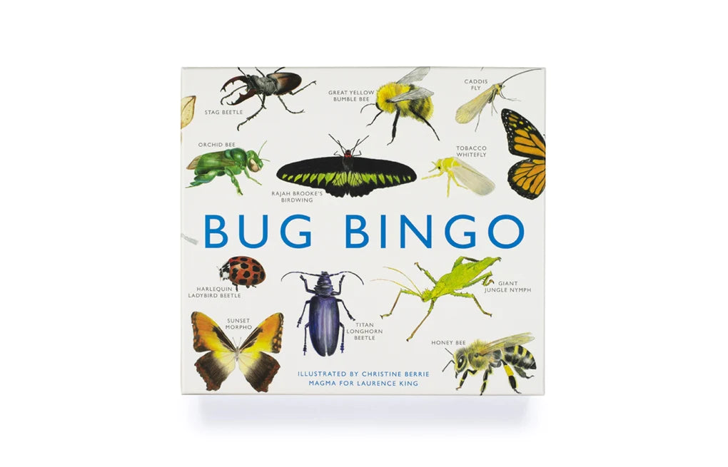 Bug Bingo (Illustrated by Christine Berrie Magma for Laurence King) – Jill  and the Beanstalk