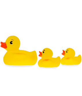 Vital Baby Rubber Ducks